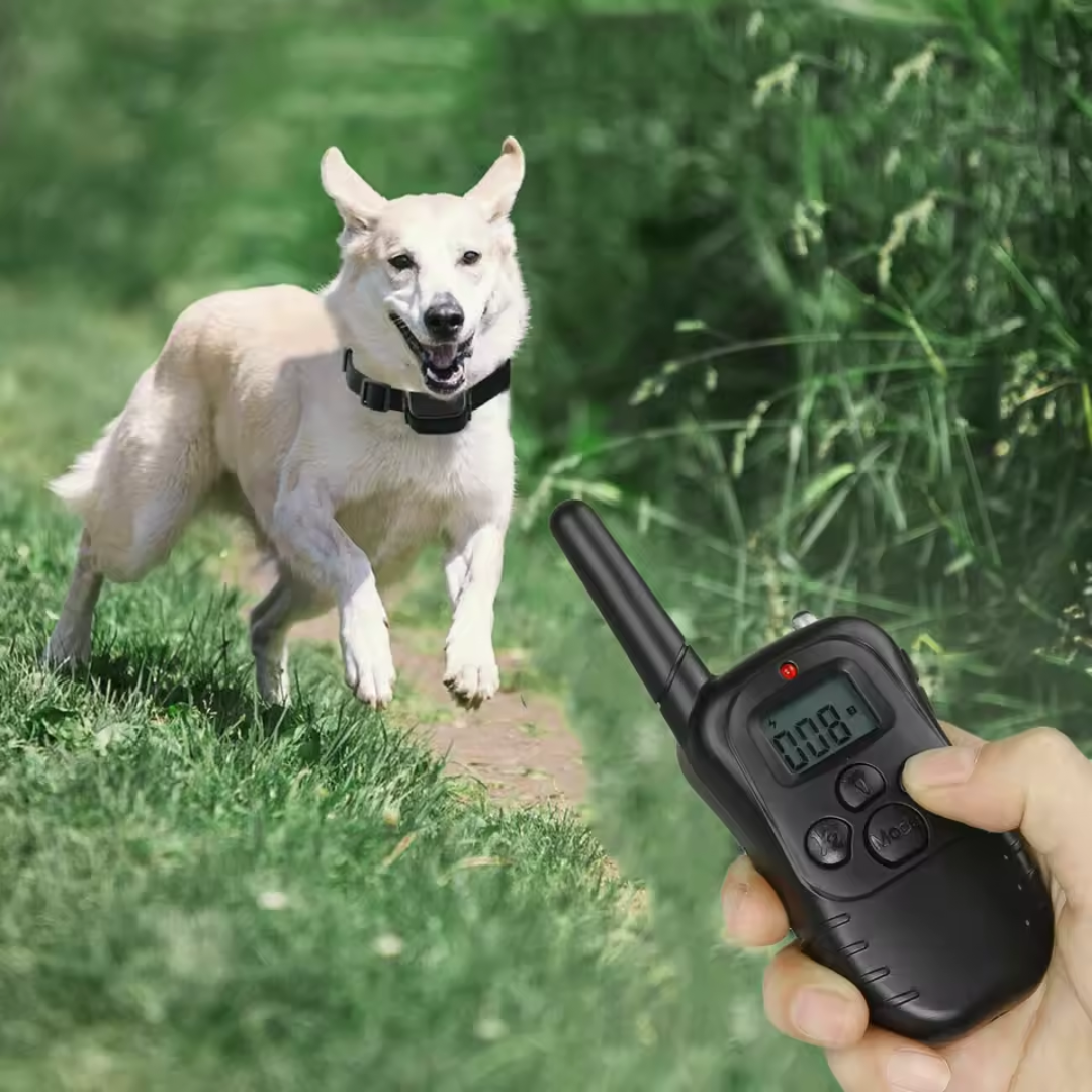 Collar de Adiestramiento para Perros con 100 Niveles de Estimulación y Alcance de 300m